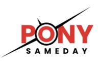 Pony Sameday image 3
